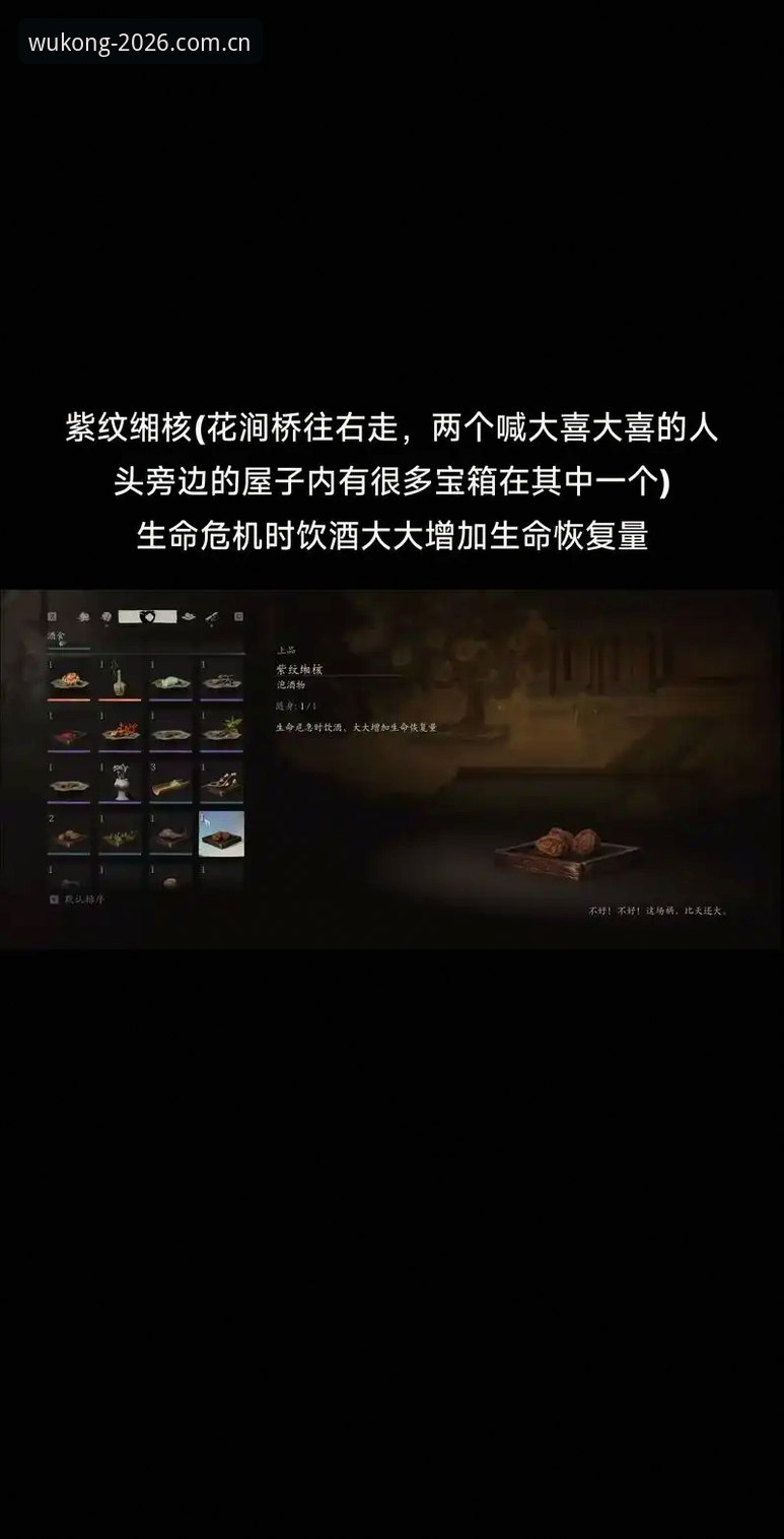 悟空体育官网下载2026最新版本深度解析：从功能升级到使用体验全指南